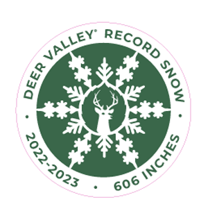 Record Snowfall Sticker Set