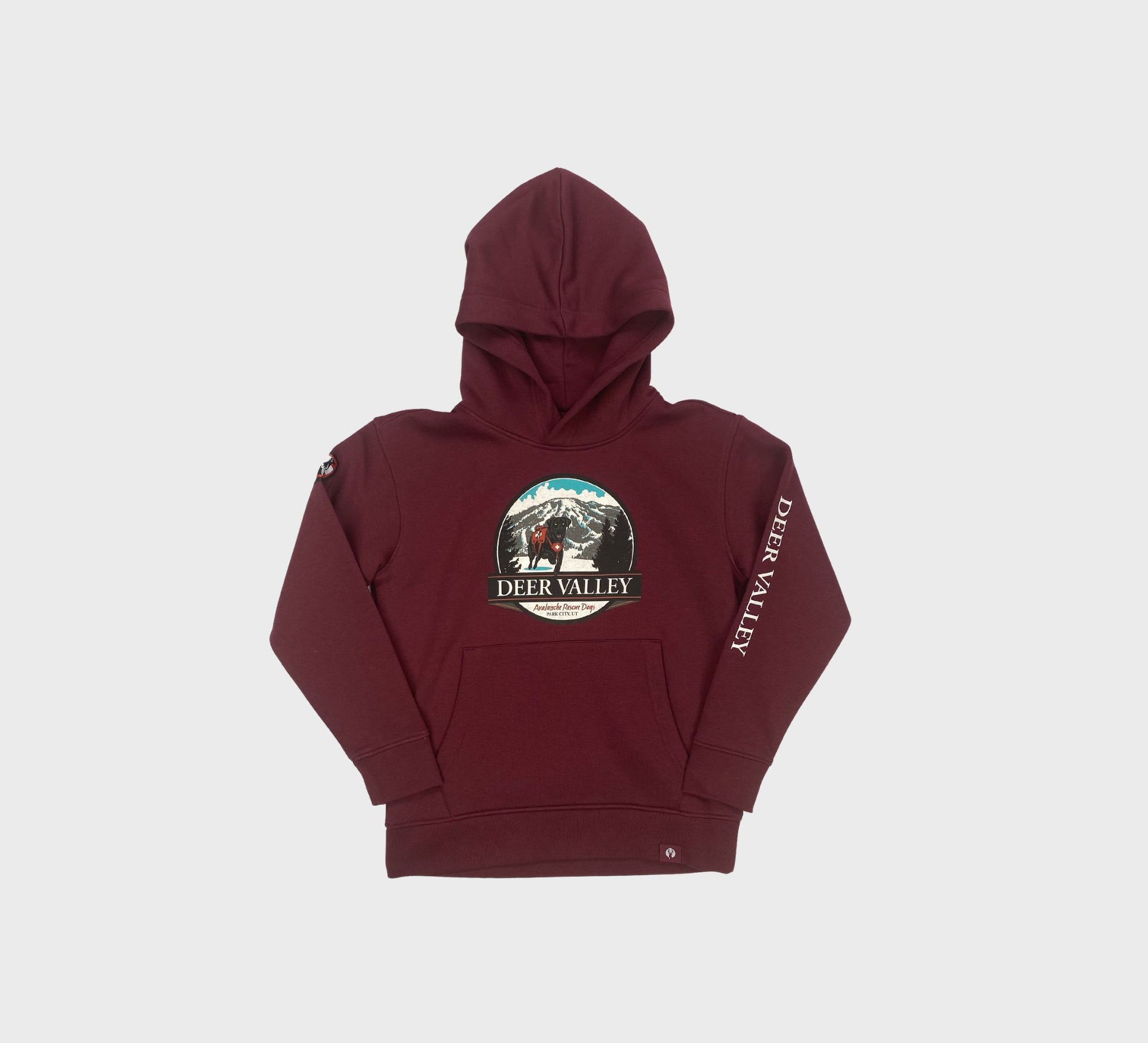 Toddler Avalanche Rescue Dog Hoodie