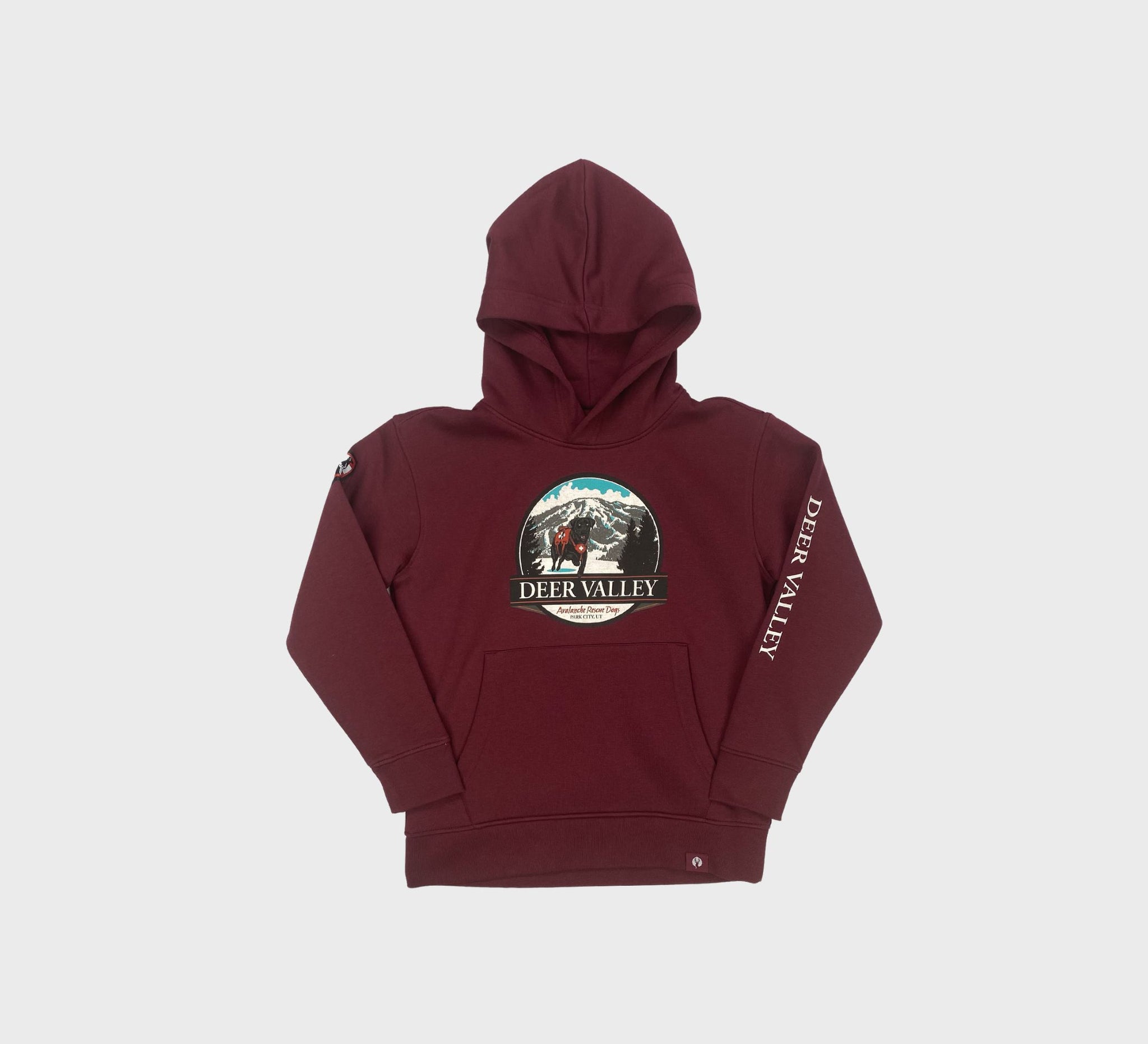 Youth Avalanche Rescue Dog Hoodie