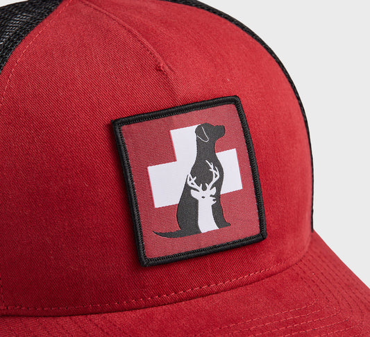 Avalanche Rescue Dog Trucker