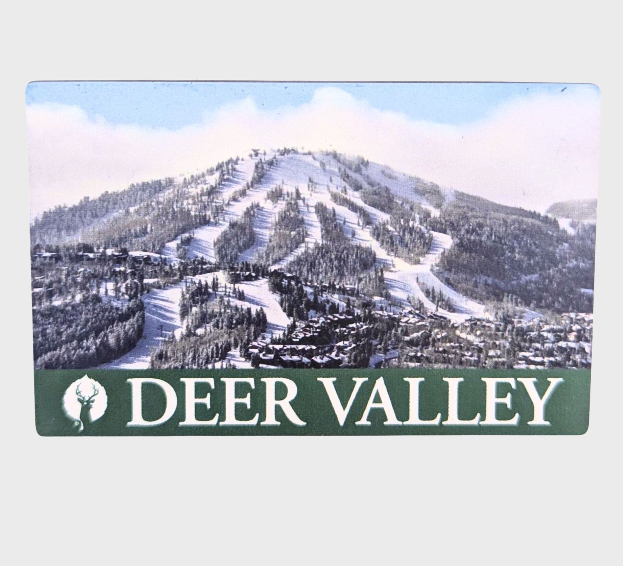Bald Mountain Magnet