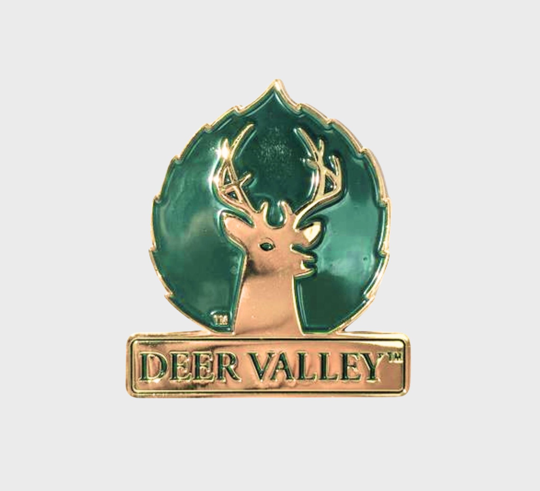 Large Logo Magnet