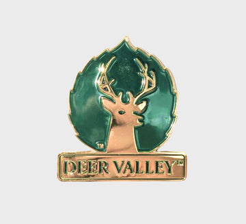 Large Logo Magnet
