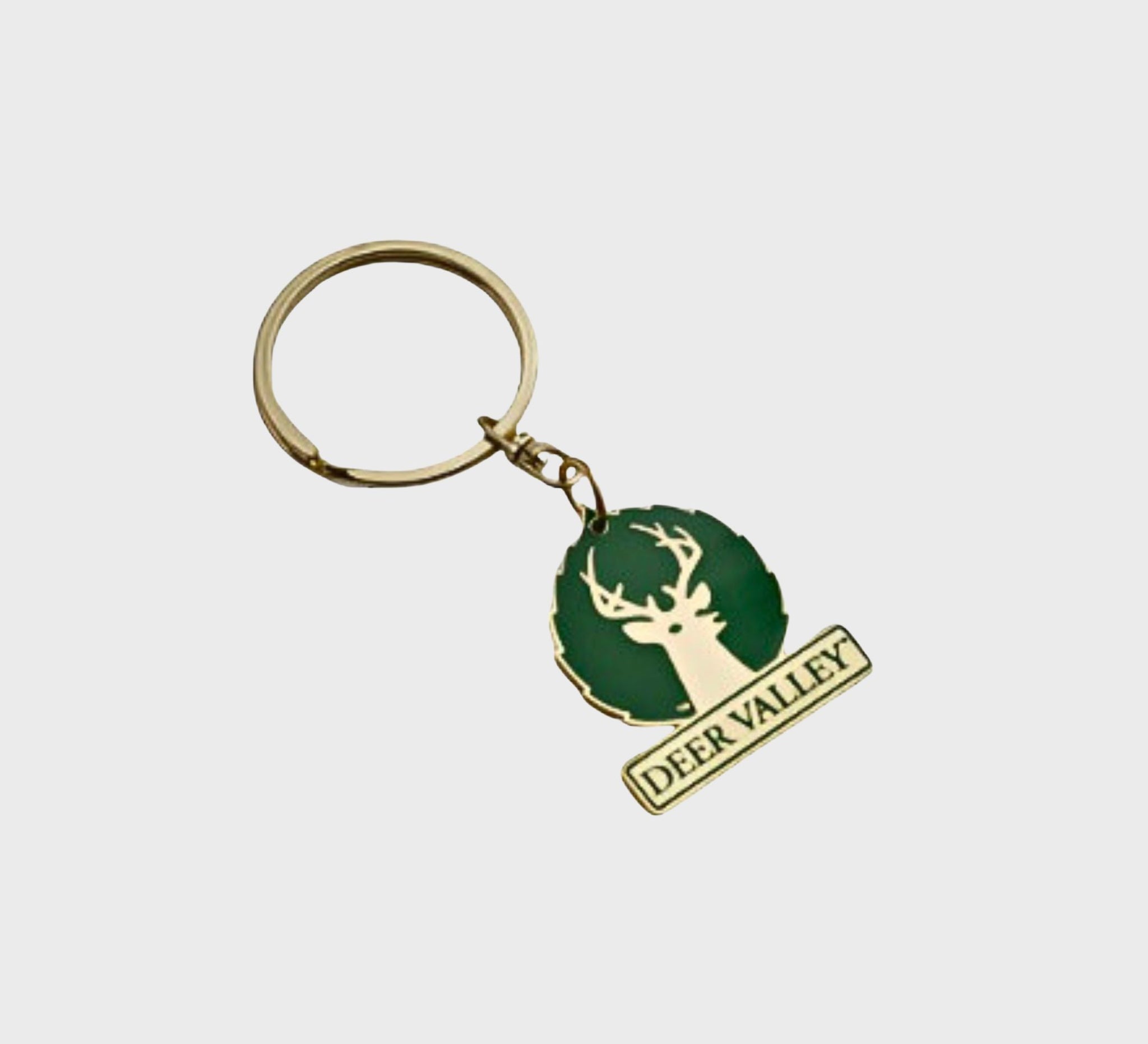 Large Logo Keychain