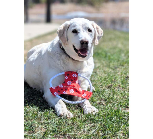 Deer Valley Paw Rope Toy