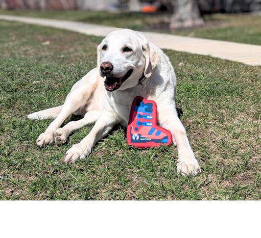 Ski Boot Dog Toy