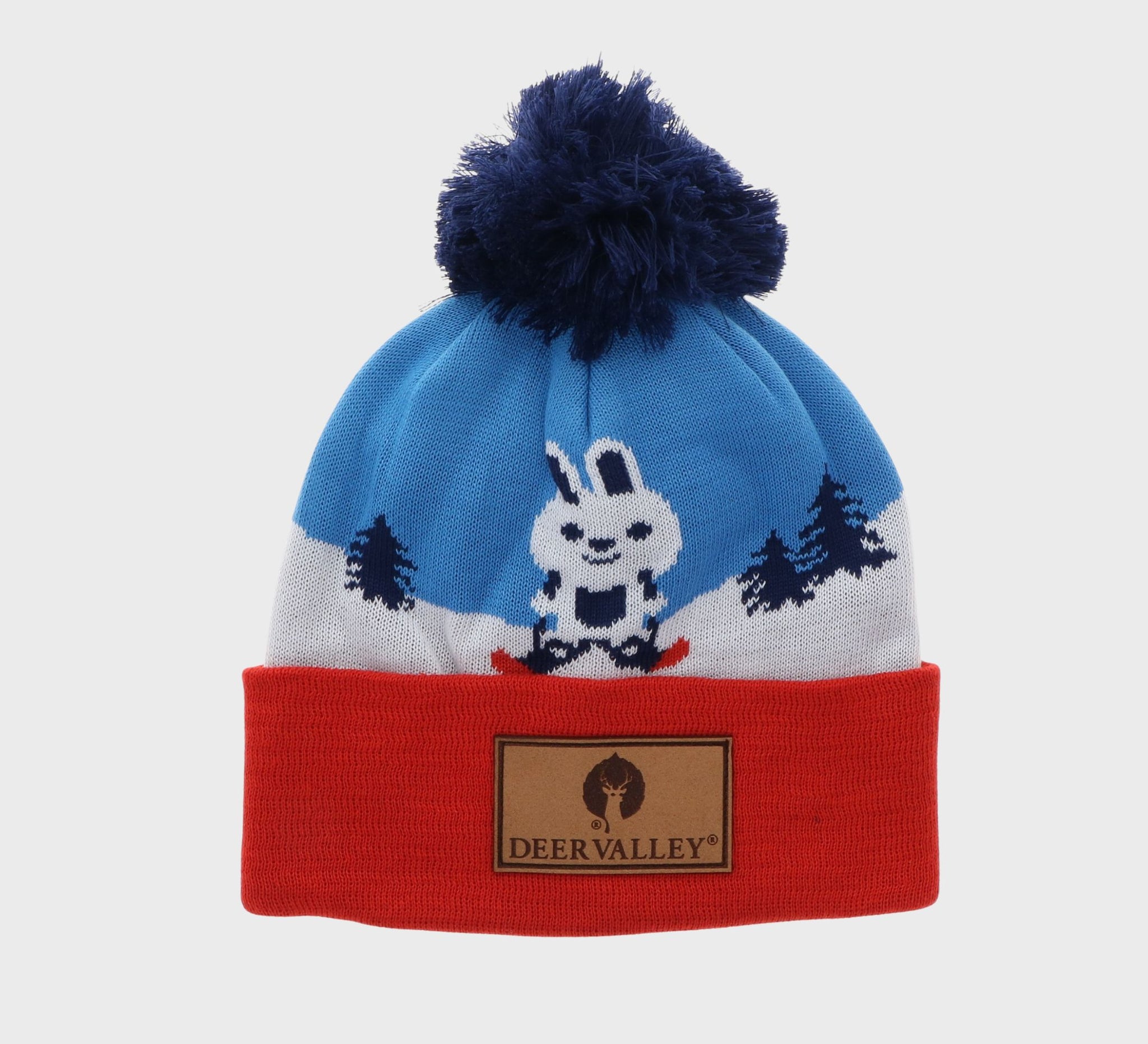 Skiing Rabbit Youth Beanie