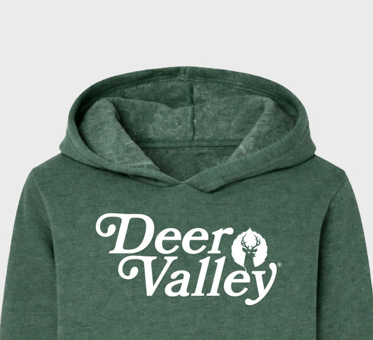 Toddler Carbenite Pullover Hoodie